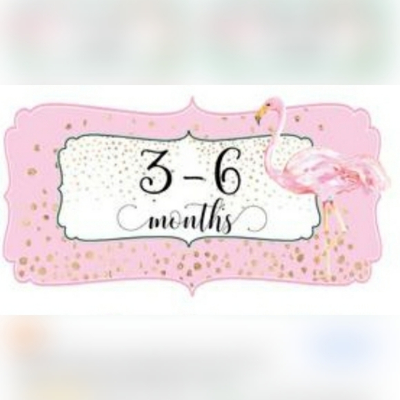 3-6 and 6 months - Picture 2 of 2